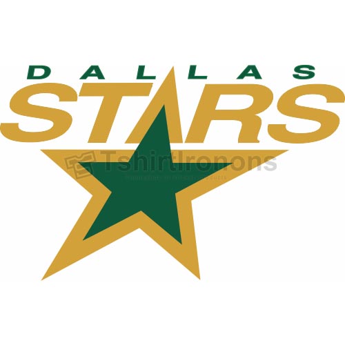 Dallas Stars T-shirts Iron On Transfers N132